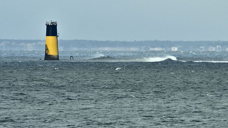 Paysages Île d'Oléron Chassiron Antioche Pose longue Plage Falaises Viaduc