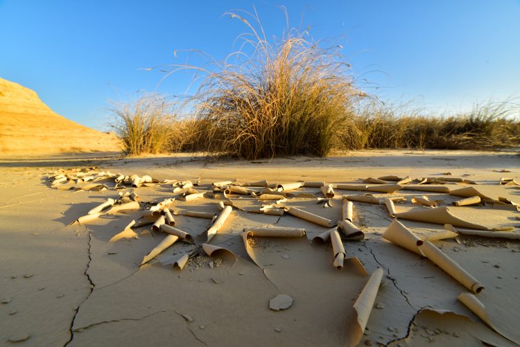 Bardenas Reales Espagne Navarre Désert Paysage Heures d'or Argile Ocre