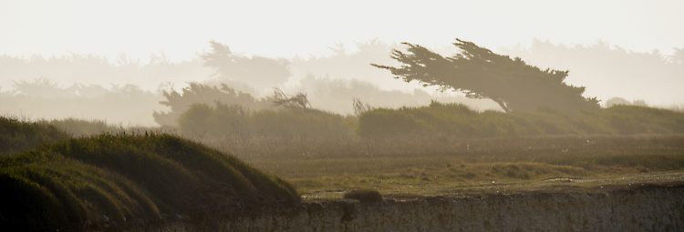 Paysages Île d'Oléron Chassiron Antioche Pose longue Plage Falaises Viaduc