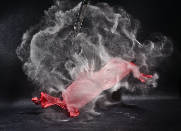 Haute vitesse Flash High speed Image figée Eclats de verre Explosion