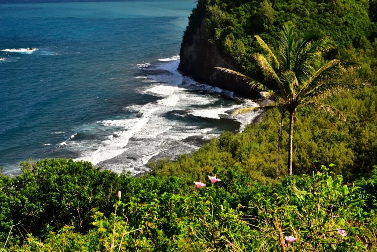 Koahala Coast Hawaï Big Island