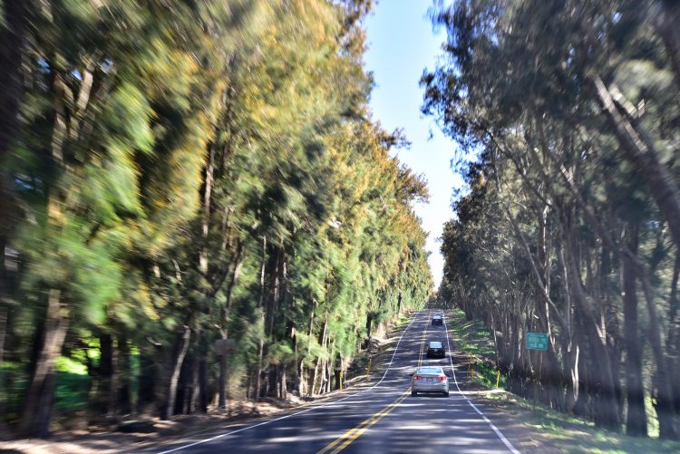 Mauna Kea Big Island Hawaï Cratère Coucher de soleil Sunset
