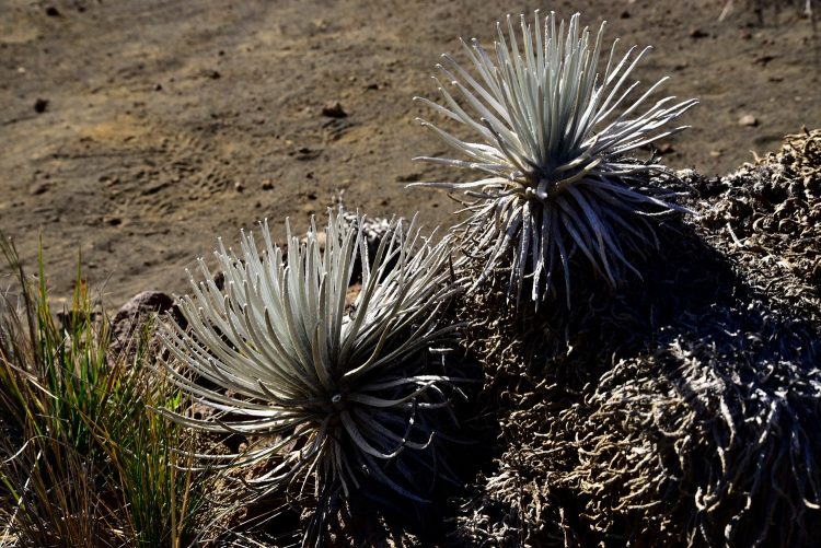Mauna Kea Big Island Hawaï Cratère Coucher de soleil Sunset