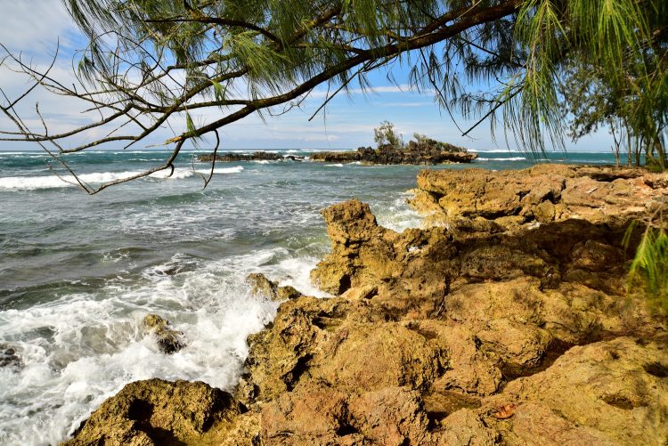 Hawaï Oahu Plage Corail Coucher de Soleil Sunset Beach Bay Turtle bay