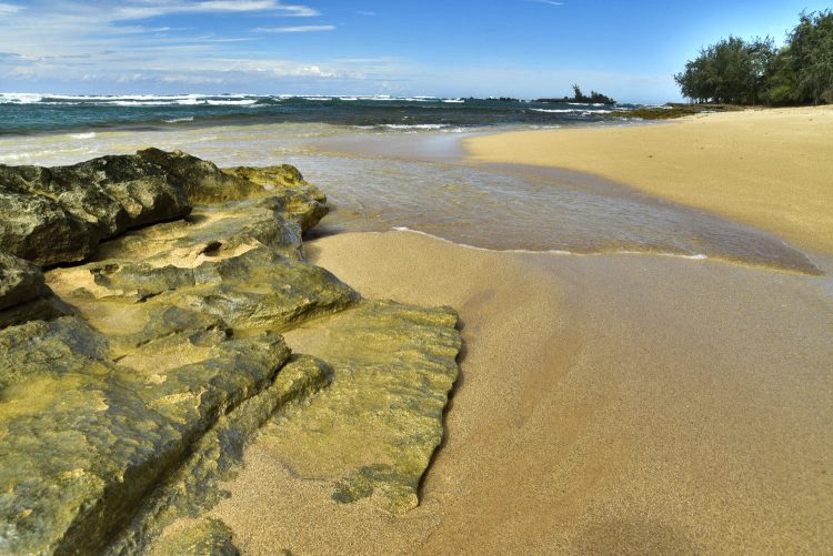 Hawaï Oahu Plage Corail Coucher de Soleil Sunset Beach Bay Turtle bay