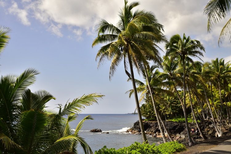 Big Island Hawaï Côte Sud-Est Hot springs Kalapana Kapoho Mermaid Pond