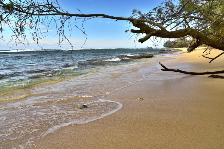 Hawaï Oahu Plage Corail Coucher de Soleil Sunset Beach Bay Turtle bay