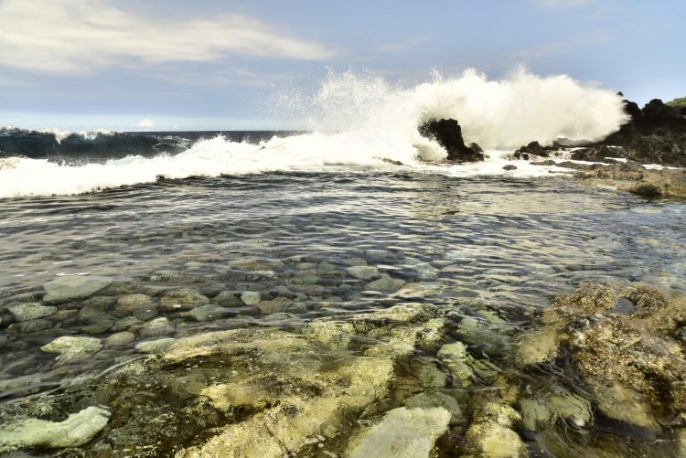 Big Island Hawaï Côte Sud-Est Hot springs Kalapana Kapoho Mermaid Pond