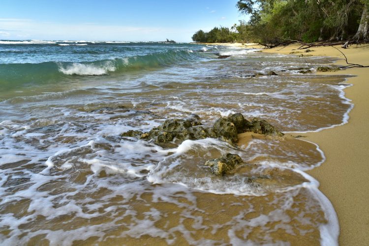 Hawaï Oahu Plage Corail Coucher de Soleil Sunset Beach Bay Turtle bay
