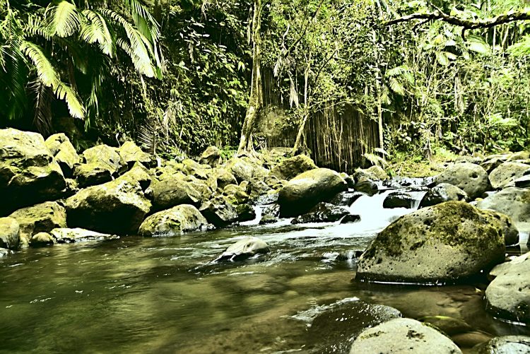 Hilo Hawaï Coye Ouest Au vent Cascade