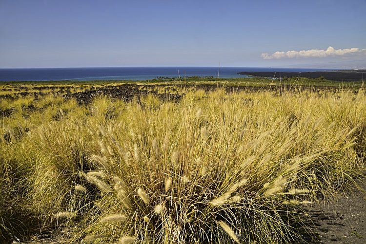 Hawaï BigIsland Volcan Kilaueha Volcanisme Caldeira Lave
