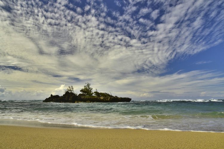Hawaï Oahu Plage Corail Coucher de Soleil Sunset Beach Bay Turtle bay