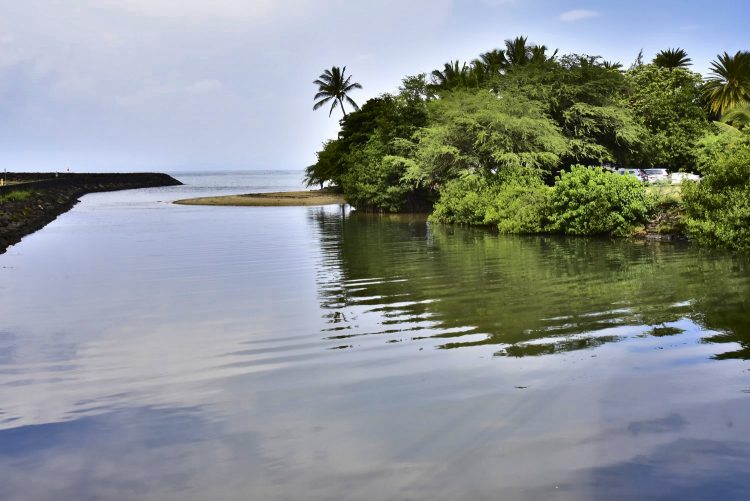 Hawaï Oahu Plage Corail Coucher de Soleil Sunset Beach Bay Turtle bay