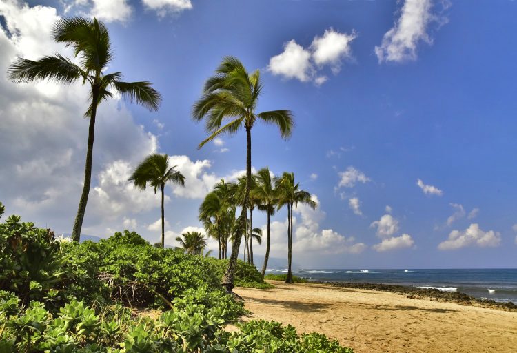 Hawaï Oahu Plage Corail Coucher de Soleil Sunset Beach Bay Turtle bay