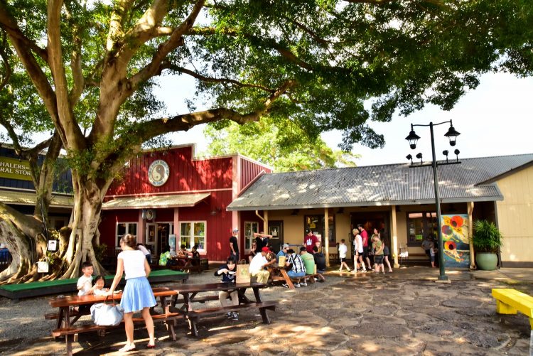 Hawaï Oahu Plage Corail Coucher de Soleil Sunset Beach Bay Turtle bay