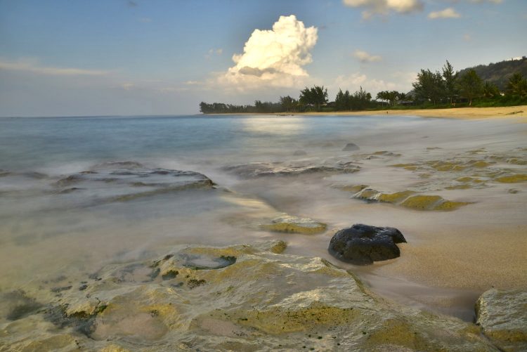 Hawaï Oahu Plage Corail Coucher de Soleil Sunset Beach Bay Turtle bay