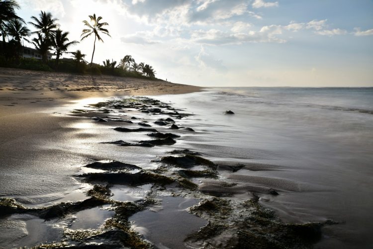 Hawaï Oahu Plage Corail Coucher de Soleil Sunset Beach Bay Turtle bay
