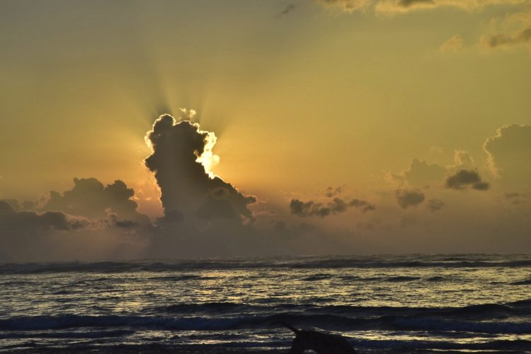 Hawaï Oahu Plage Corail Coucher de Soleil Sunset Beach Bay Turtle bay