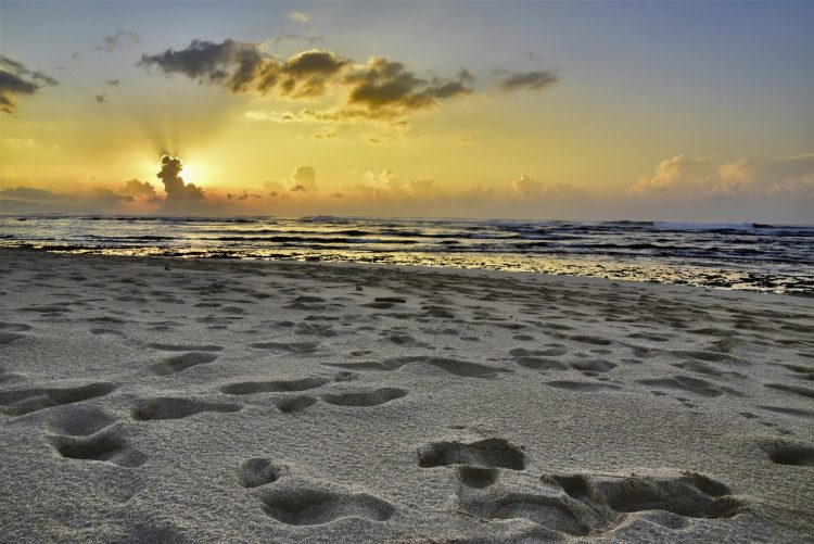 Hawaï Oahu Plage Corail Coucher de Soleil Sunset Beach Bay Turtle bay