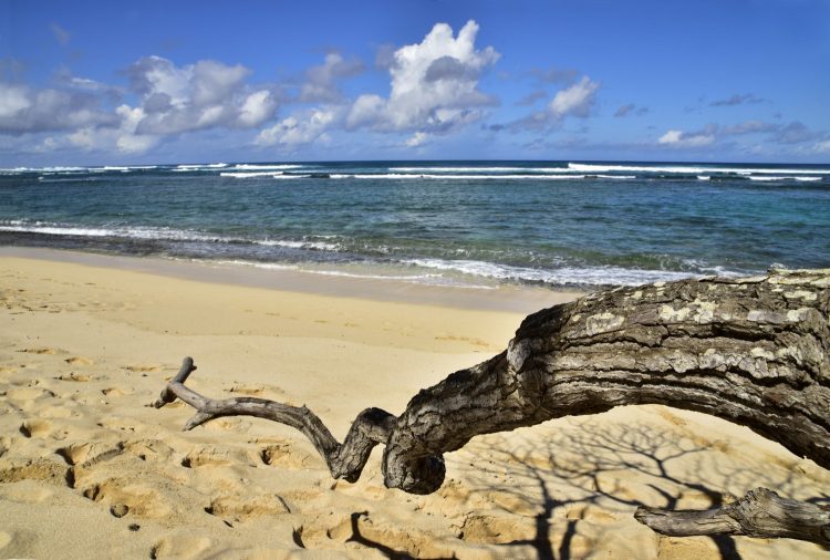Hawaï Oahu Plage Corail Coucher de Soleil Sunset Beach Bay Turtle bay