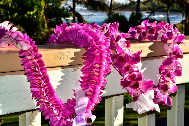 Hawaï Oahu Plage Corail Coucher de Soleil Sunset Beach Bay Turtle bay