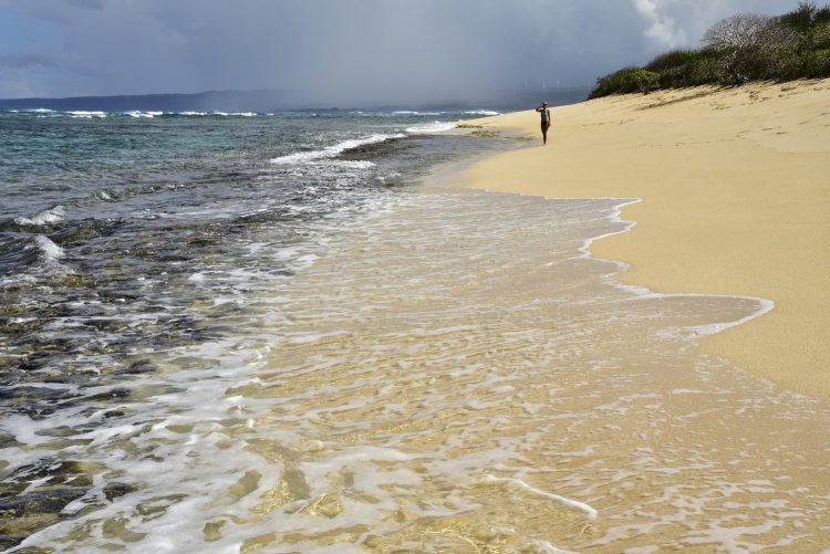 Hawaï Oahu Plage Corail Coucher de Soleil Sunset Beach Bay Turtle bay