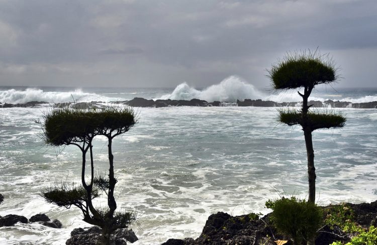 Hawaï Oahu Plage Corail Coucher de Soleil Sunset Beach Bay Turtle bay