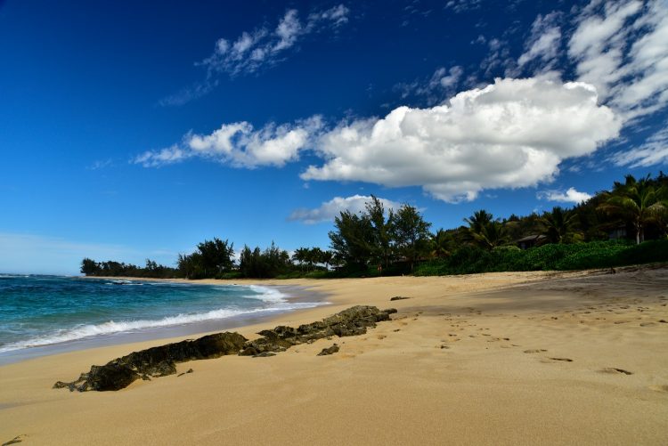 Hawaï Oahu Plage Corail Coucher de Soleil Sunset Beach Bay Turtle bay