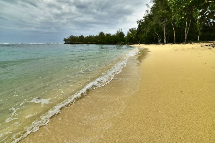 Hawaï Oahu Plage Corail Coucher de Soleil Sunset Beach Bay Turtle bay