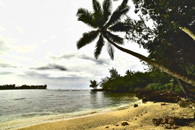 Hawaï Oahu Plage Corail Coucher de Soleil Sunset Beach Bay Turtle bay