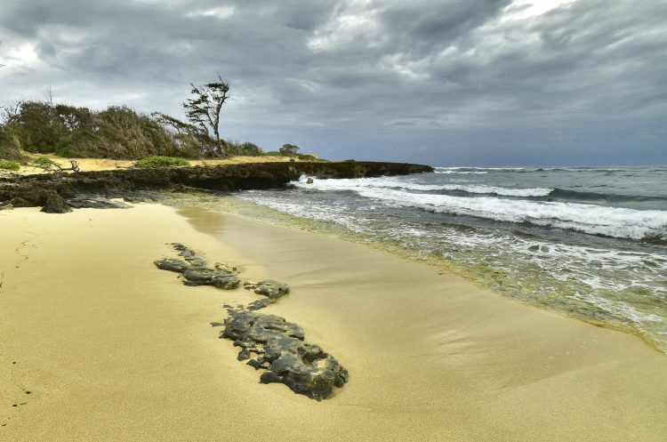 Hawaï Oahu Plage Corail Coucher de Soleil Sunset Beach Bay Turtle bay