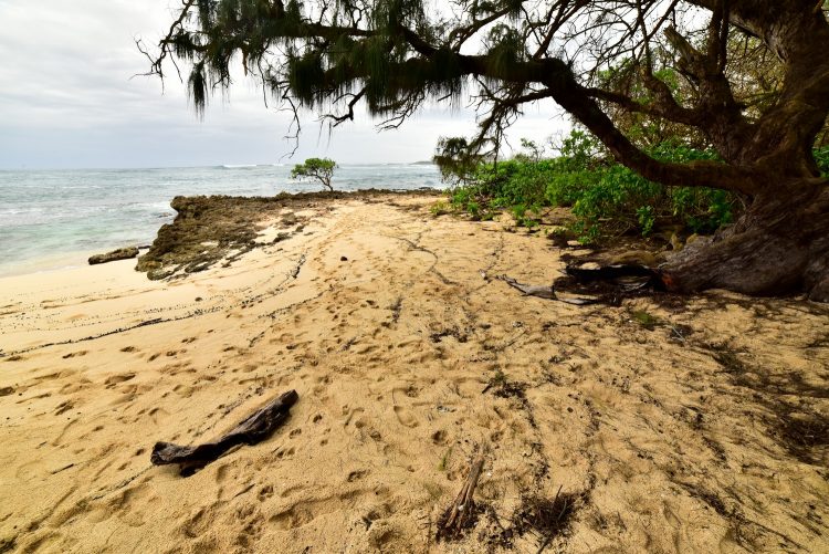 Hawaï Oahu Plage Corail Coucher de Soleil Sunset Beach Bay Turtle bay