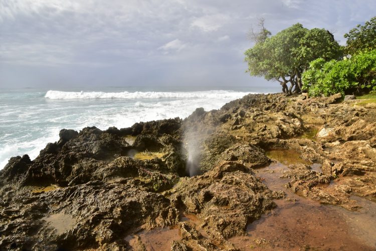 Hawaï Oahu Plage Corail Coucher de Soleil Sunset Beach Bay Turtle bay