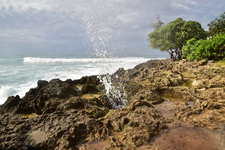 Hawaï Oahu Plage Corail Coucher de Soleil Sunset Beach Bay Turtle bay