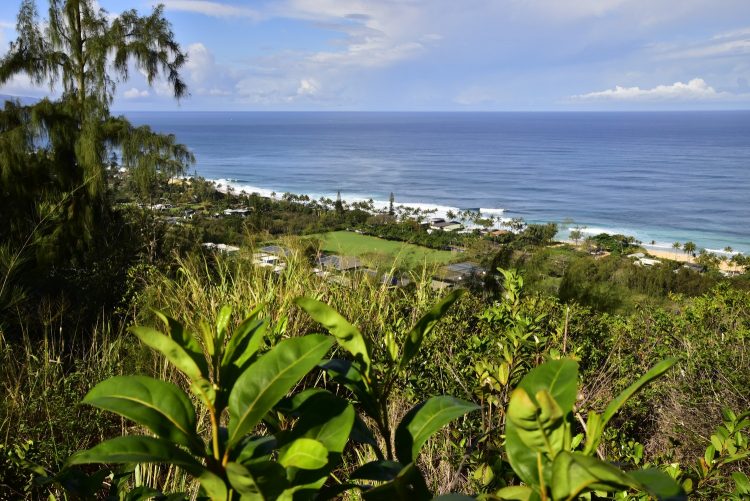 Hawaï Oahu Plage Corail Coucher de Soleil Sunset Beach Bay Turtle bay