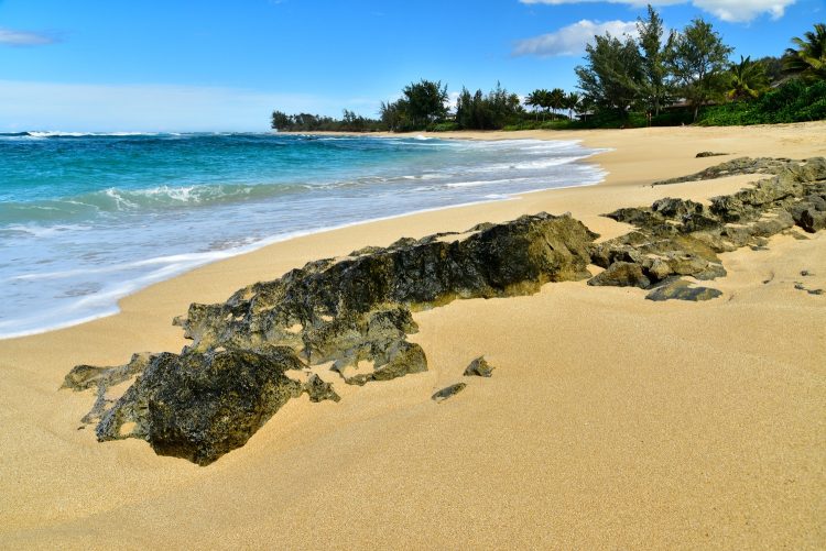 Hawaï Oahu Plage Corail Coucher de Soleil Sunset Beach Bay Turtle bay