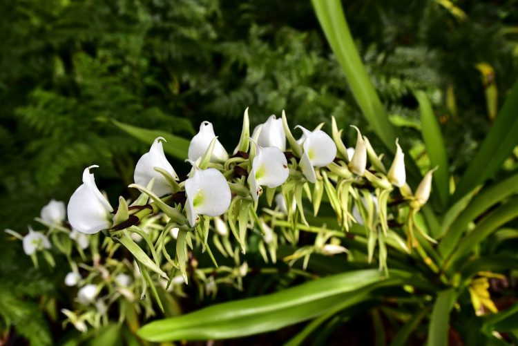 Hawaï Oahu Plage Corail Coucher de Soleil Sunset Beach Bay Turtle bay