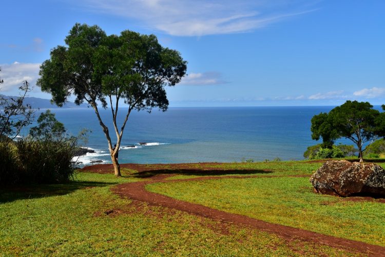 Hawaï Oahu Plage Corail Coucher de Soleil Sunset Beach Bay Turtle bay