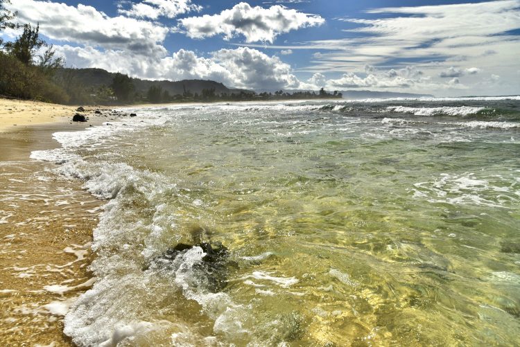 Hawaï Oahu Plage Corail Coucher de Soleil Sunset Beach Bay Turtle bay