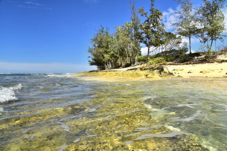 Hawaï Oahu Plage Corail Coucher de Soleil Sunset Beach Bay Turtle bay