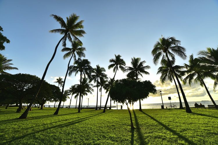 Hawaï Oahu Honolulu Waikiki