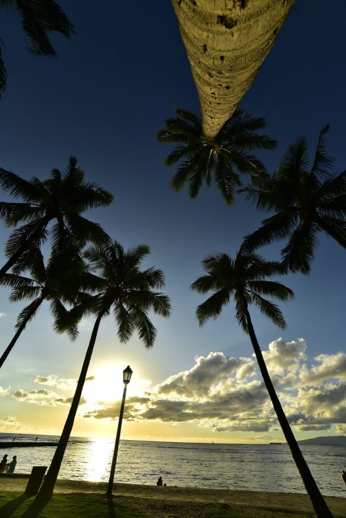 Hawaï Oahu Honolulu Waikiki