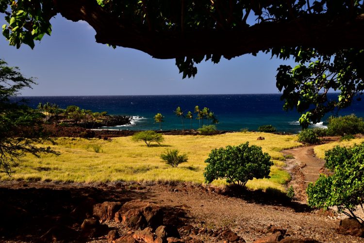 Koahala Coast Hawaï Big Island