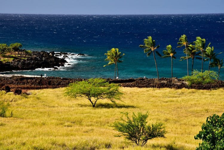 Koahala Coast Hawaï Big Island