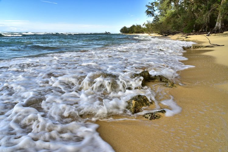 Hawaï Oahu Plage Corail Coucher de Soleil Sunset Beach Bay Turtle bay