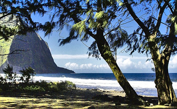 Hilo Hawaï Coye Ouest Au vent Cascade