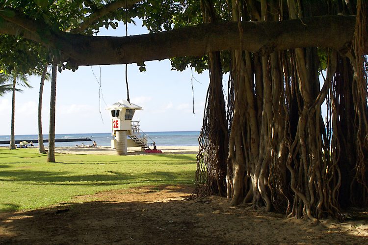 Hawaï Oahu Honolulu Waikiki