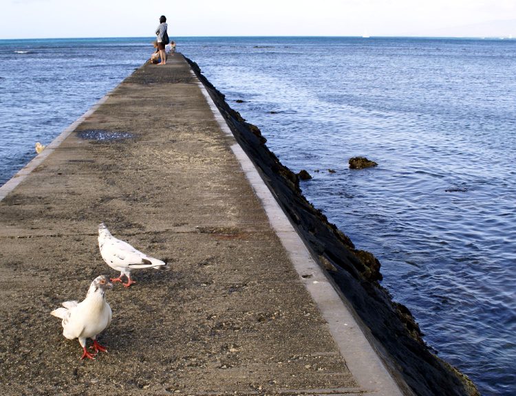 Hawaï Oahu Honolulu Waikiki