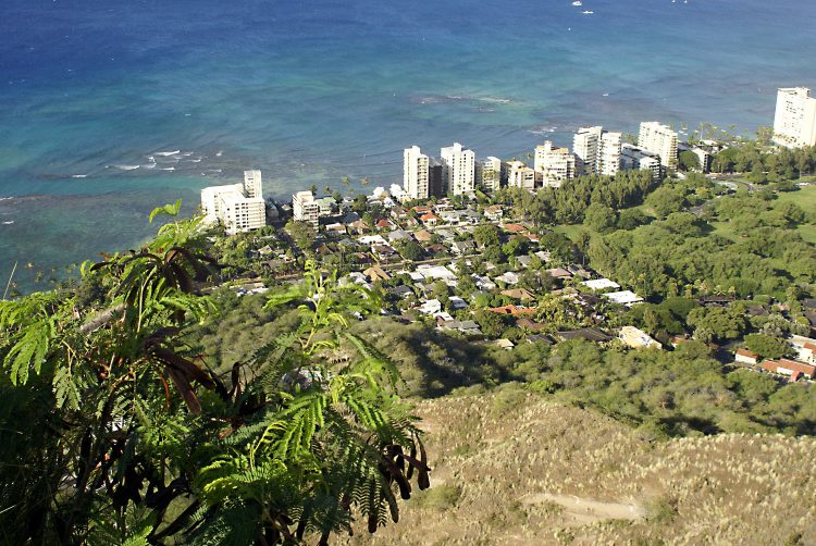 Hawaï Oahu Honolulu Waikiki
