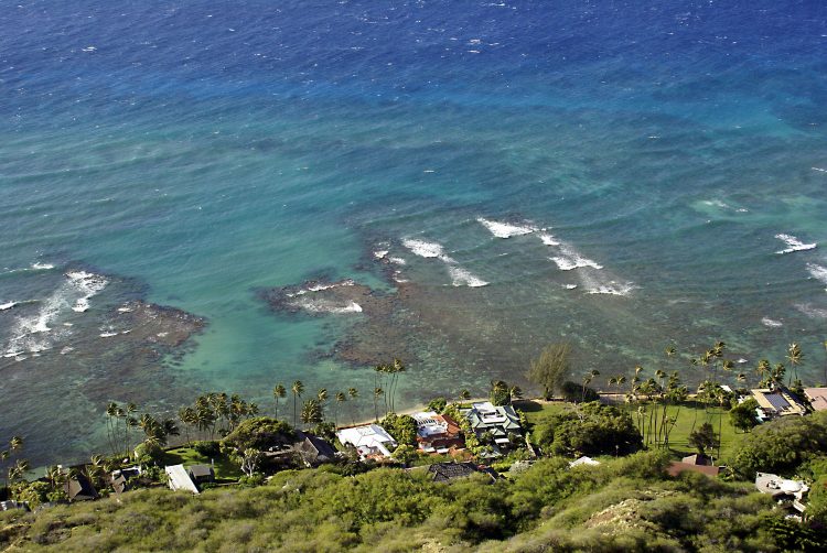 Hawaï Oahu Honolulu Waikiki